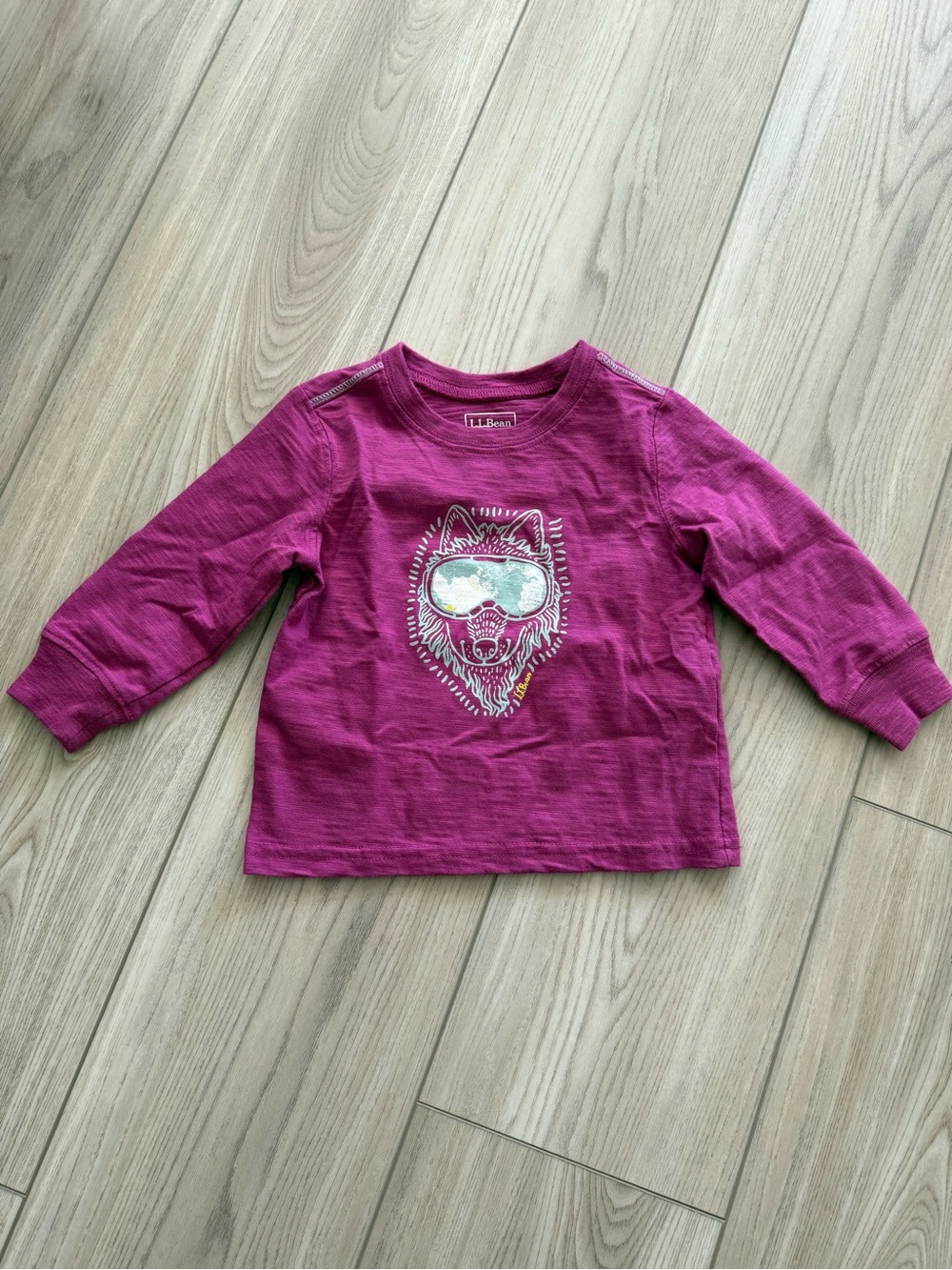 L.L. Bean Long-Sleeve Graphic Tee